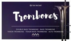 Audio Modeling SWAM Trombones Virtual Instrument Software