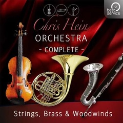 Best Service Chris Hein Orchestra Complete