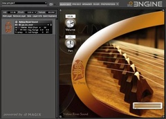 Best Service Gu Zheng Virtual Instrument
