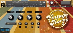 Big Fish Vintage Horns 2 Horns Sample Library - (Download)