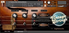 Big Fish Vintage Strings (Download)