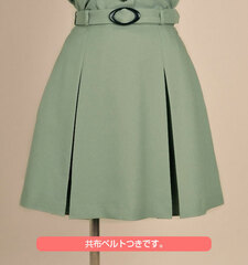 Persona - St. Hermelin High School Girls Uniform Skirt / Ladies' L