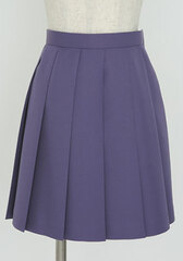 Monogatari Series - Naoetsu Private High School Girls Uniform Skirt / Ladies' L