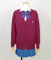 Macross - Costume: F Wings of Goodbye Ver. Ranka After School OF/ S