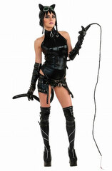 DC Comic - Ame-Comi Catwoman 880320 (Costume)