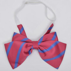 Love Live! - Otonokizaka Academy Girls Uniform Ribbon/ 2nd Years (Red)