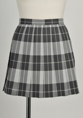 Haiyore! Nyaruko-san - Public Kouryou High School Girls Uniform Skirt/ Ladies' XL