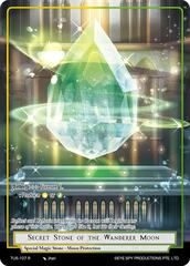 Secret Stone of the Wanderer Moon - TUS-107 - R