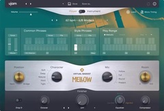 UJAM Virtual Bassist Mellow 2 Virtual Double Bass Software