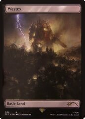 Wastes (704) - Foil - Full Art