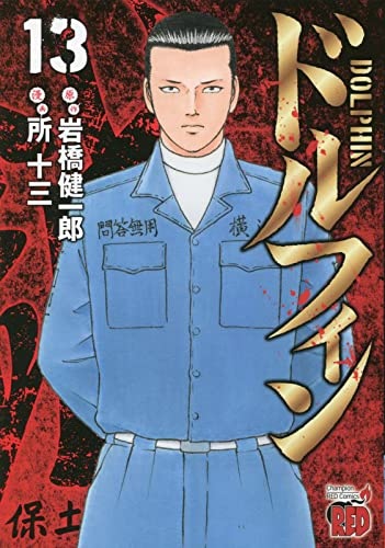 Dolphin 13 (BOOK)