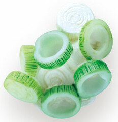 Ramen Noodle Ingredient Magnet Negi Onion