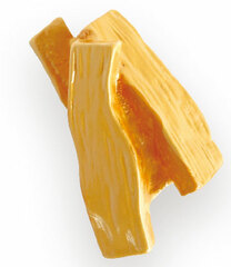Ramen Noodle Ingredient Magnet Menma