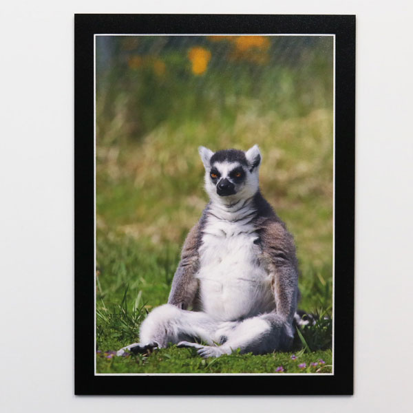 ArtNote Magnet Display A4 Black