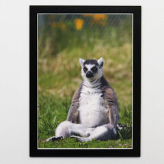ArtNote Magnet Display A4 Black