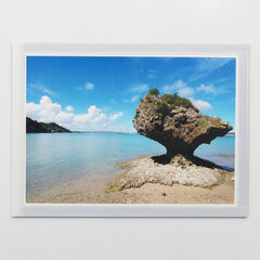 ArtNote Magnet Display A4 White