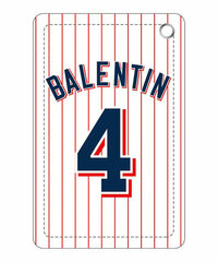 Tokyo Yakult Swallows Pass Case B Balentien Model