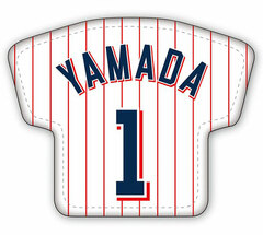 Tokyo Yakult Swallows Leather Badge A Yamada Model
