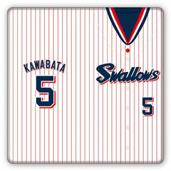 Tokyo Yakult Swallows Premium Ticket Case C kawabata Model