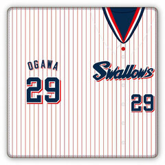 Tokyo Yakult Swallows Premium Ticket Case F Ogawa Model