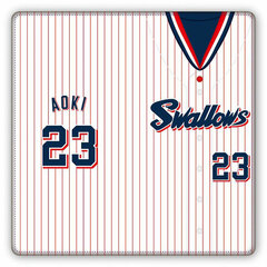 Tokyo Yakult Swallows Premium Ticket Case E Aoki Model