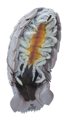 Giant Isopod iPhone Case 1-gotan Regular Edition