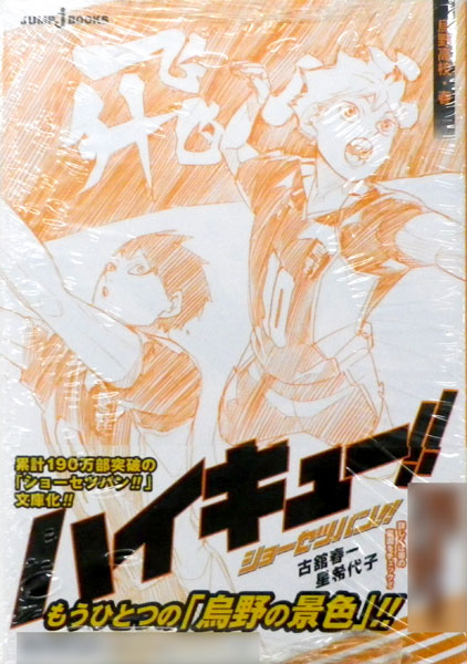 Haikyuu!! Shousetsu Ban!! Karasuno High School, Spring (BOOK)