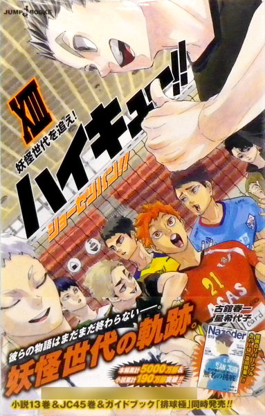 Haikyuu!! Shousetsuban!! 13 (BOOK)