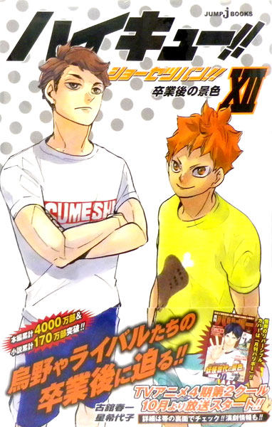 j-BOOKS Haikyuu!! Shousetsuban!! 12 (BOOK)