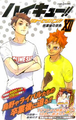 j-BOOKS Haikyuu!! Shousetsuban!! 12 (BOOK)