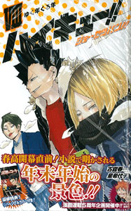 Haikyuu!! Sho-setsuban!! VIII (BOOK)