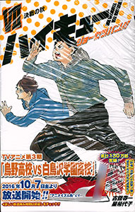 Haikyuu!! Sho-setsuban!! VII (BOOK)