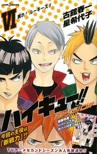 Haikyuu!! Sho-setsuban!! VI (BOOK)