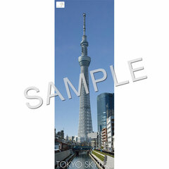 Tokyo Sky Tree Bath Poster