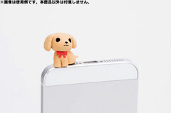 Wanko Earphone Jack - Toy Poodle