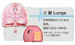 Organ Pouch Series (3) Lung Pouch