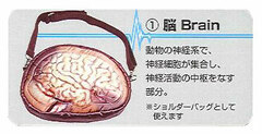 Organ Pouch Series (1) Brain Pouch