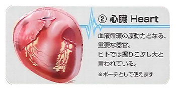 Organ Pouch Series (2) Heart Pouch