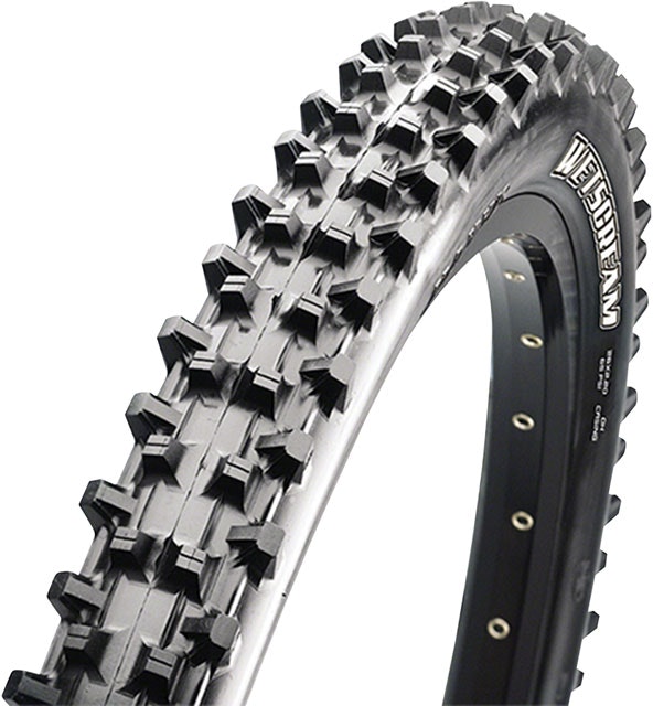 Maxxis Wetscream Tire 2022
