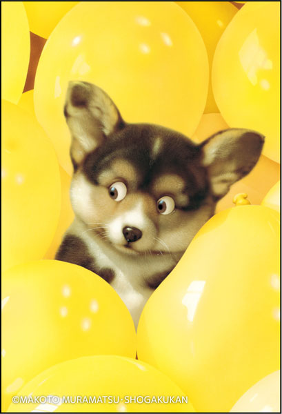 Makoto Muramatsu Exhibition Square Magnet Dog C