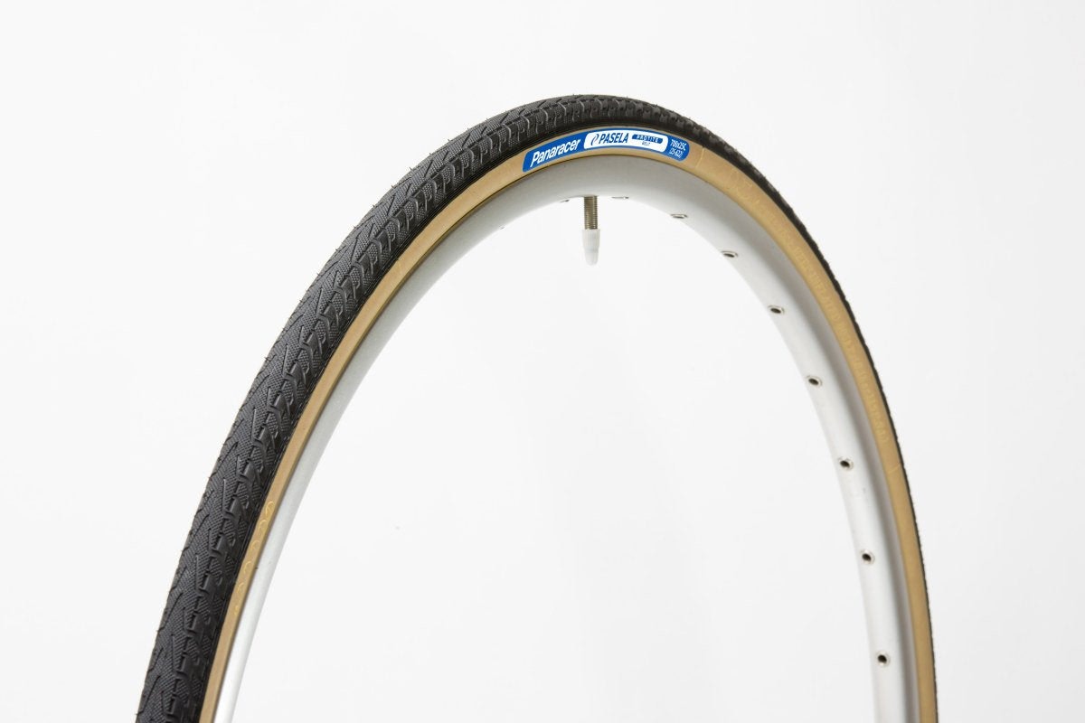 Panaracer Tire Pan Pasela Protite Wire 2022
