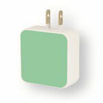 USB 2-port AC Adaptor Mint Green (FSA-01MGR)