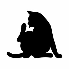 CAT WALL LIGHT 2 07 Cleaning