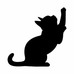 CAT WALL LIGHT 2 06 Clawing
