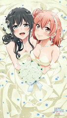My Teen Romantic Comedy SNAFU. Completion Multipurpose Wall Scroll Split Curtain (Yukino & Yui)