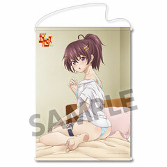 Dokyuu Hentai HxEros B2 Wall Scroll Momoka Momozono