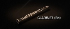 Vienna Symphonic Library Clarinet (Bb) - Full Library