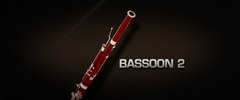 Vienna Symphonic Library Bassoon 2