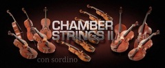 Vienna Symphonic Library Chamber Strings II - Full Library