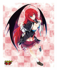 Axia Canvas Art Series No.073 High School D x D 